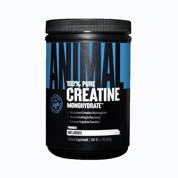 Animal creatine - 500 grms