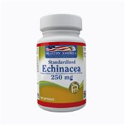 Echinacea 250mg - 100 capsulas