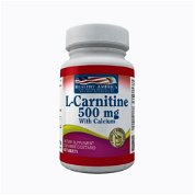 L-carnitine 500mg - 60 capsulas