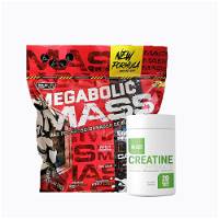 Megabolic mass 10lb + creatine monohydrate 100g